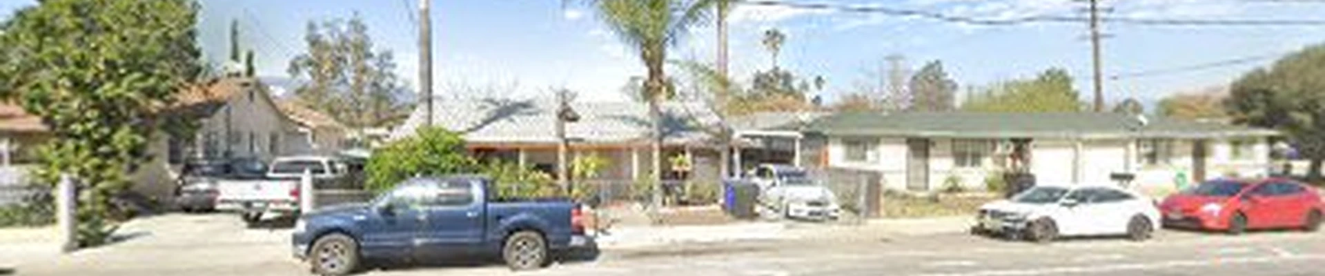 Sims Trees of Fontana