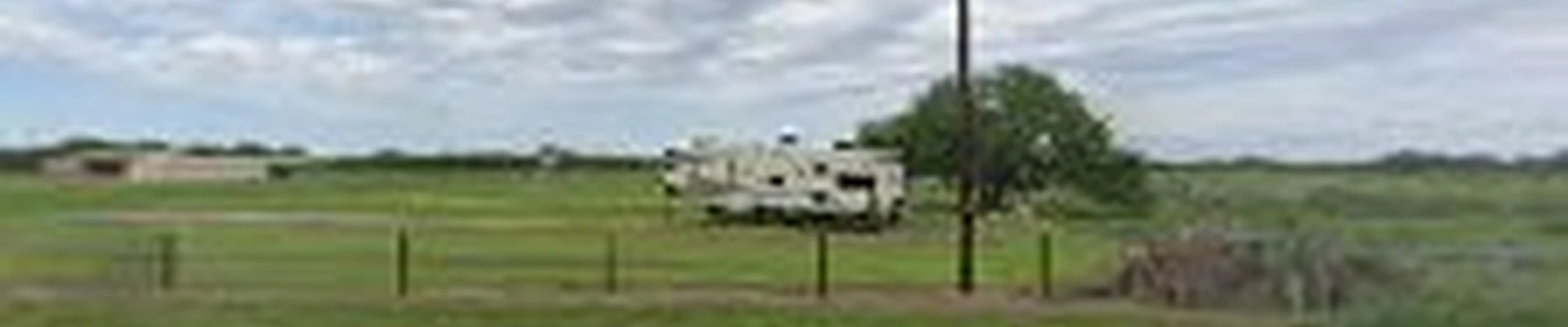 LoneStar Trees