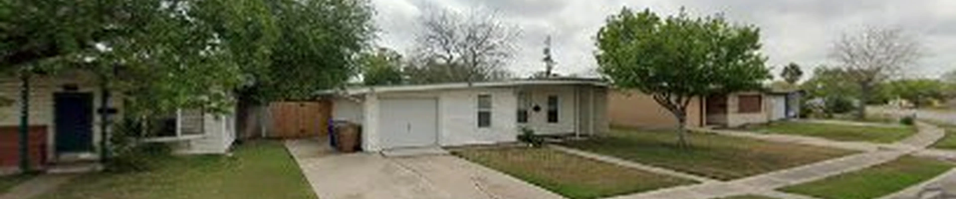 Green Tree Service of Corpus Christi