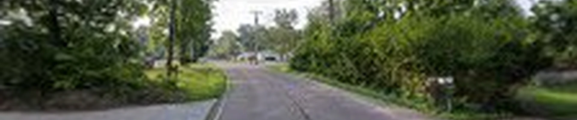 Spartek Tree Service, LLC