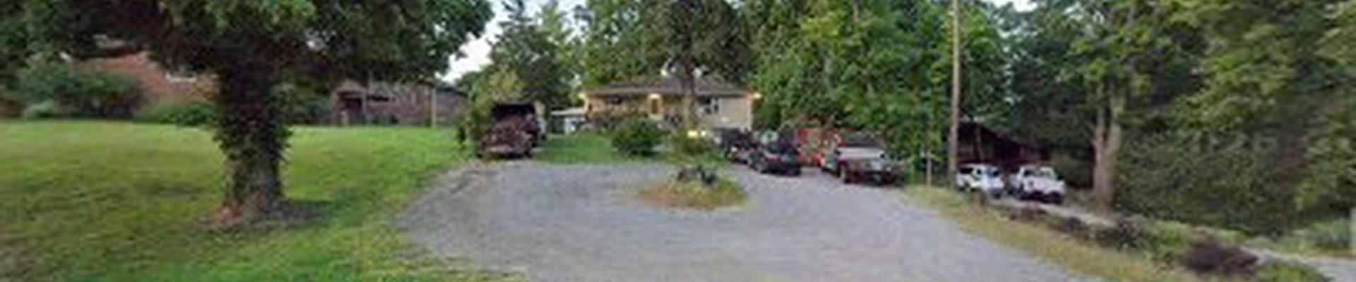 Ugly Tree Tree Service