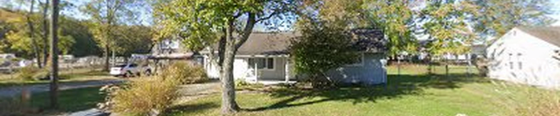 Aaron Back Stump Grinding and Tree Services