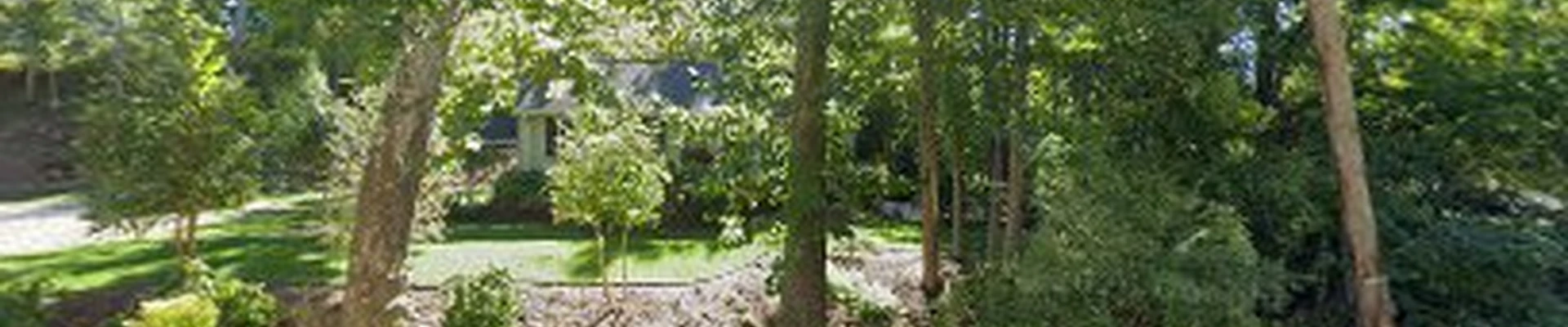 Premiere Tree Services of Cincinnati