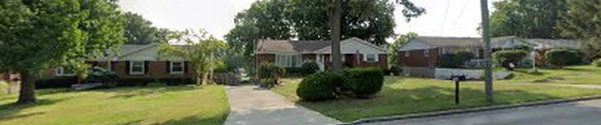 Tepe Tree Services