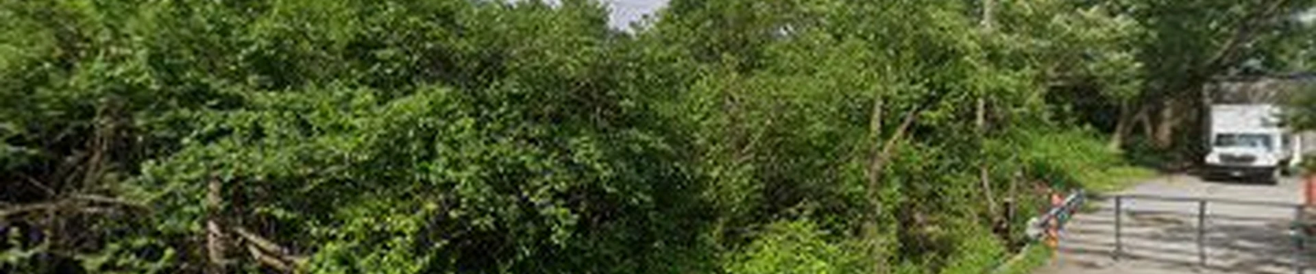 All American Tree Care