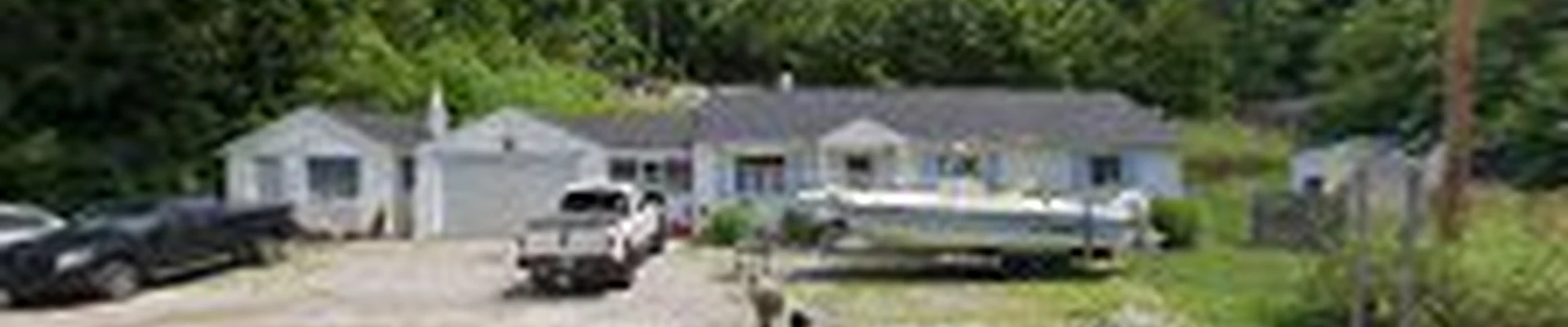 Oldfield Tree Healthcare & Removal Services