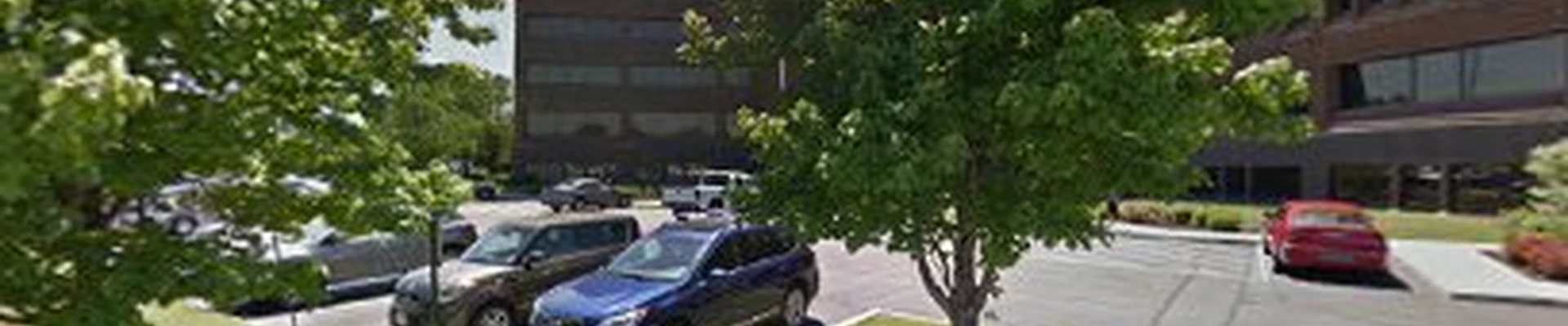 Arbor Tree Care