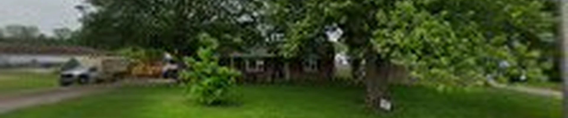Timberwolff Tree Service