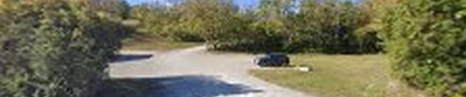 Richey Tree Service LLC