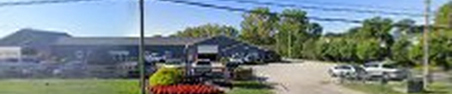 Cardinal Landscape, Tree Service & Lawn Care