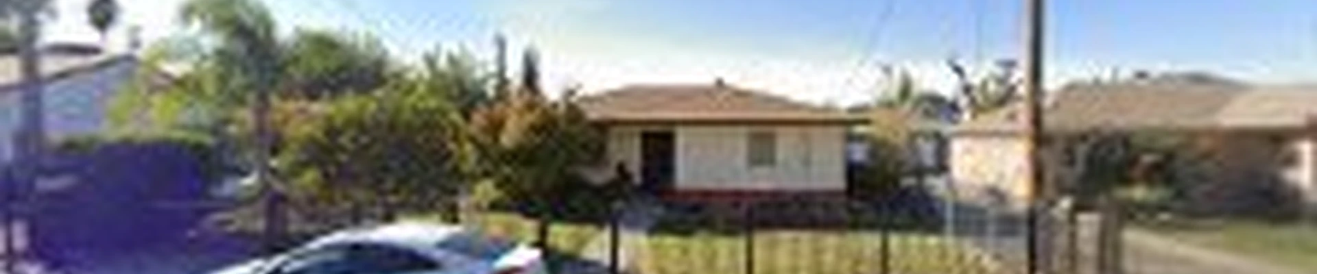 John N Eddie's Tree Care Inc