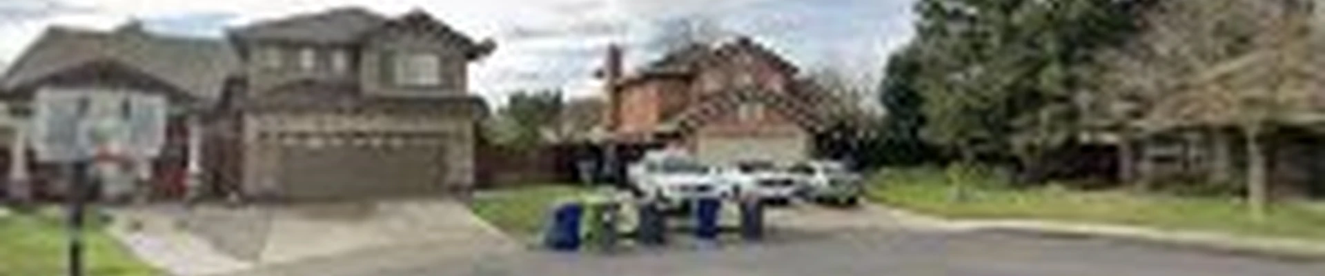 Central Valley Tree Services