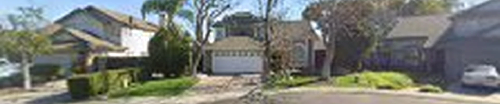 Discovery Tree Care, Inc.