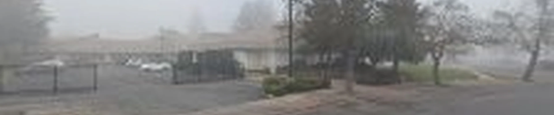 Stockton Tree Experts