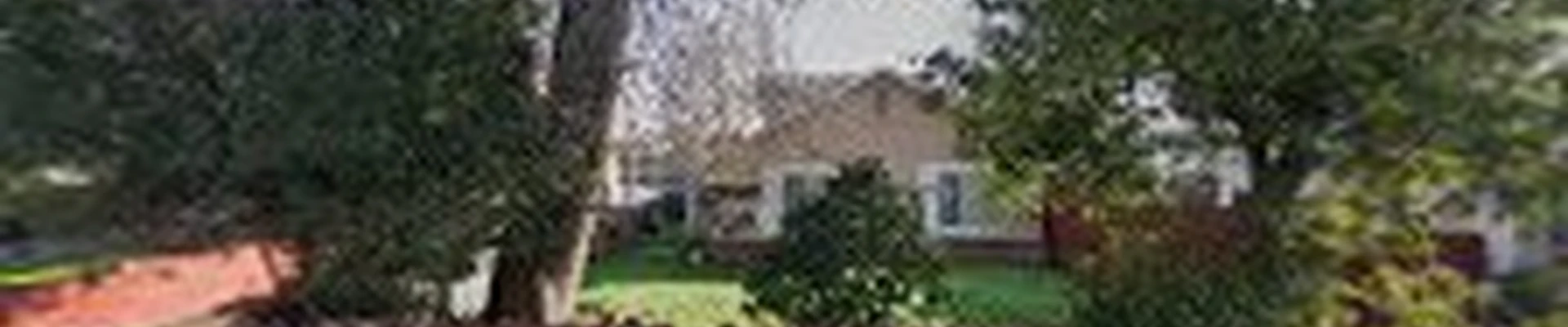 villarreal tree services