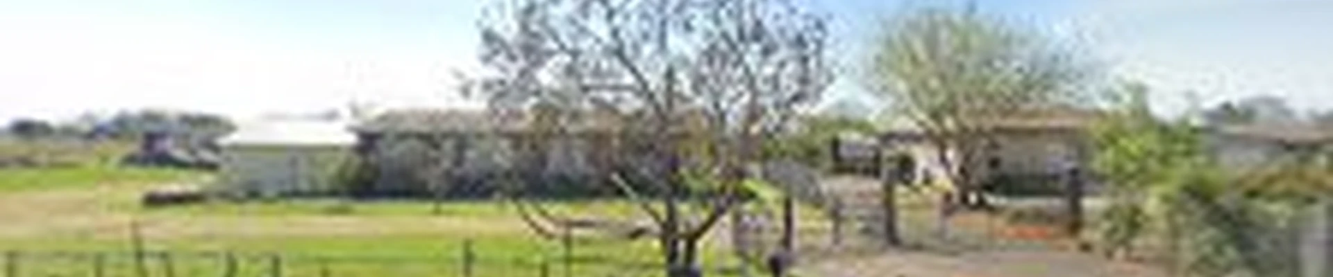 Erick J Tree Service