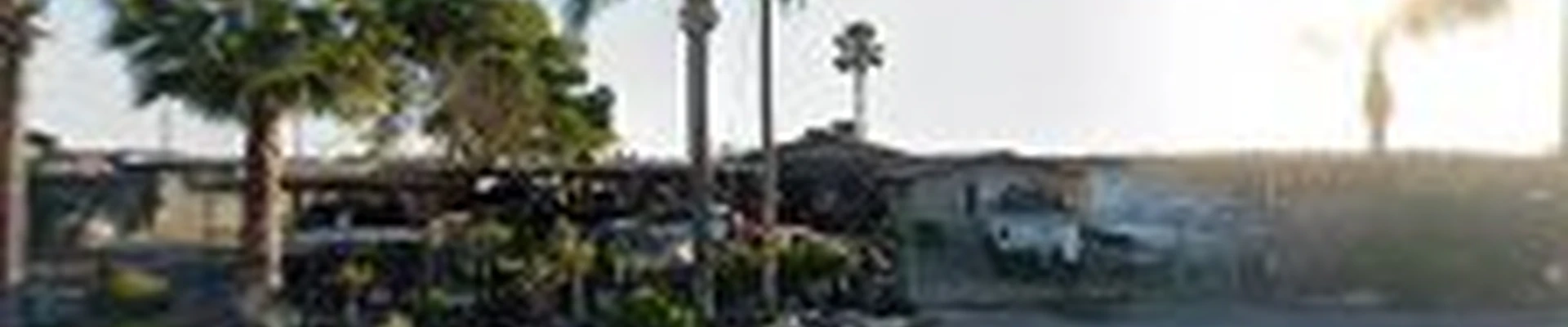 Norcal Tree Consulting Services