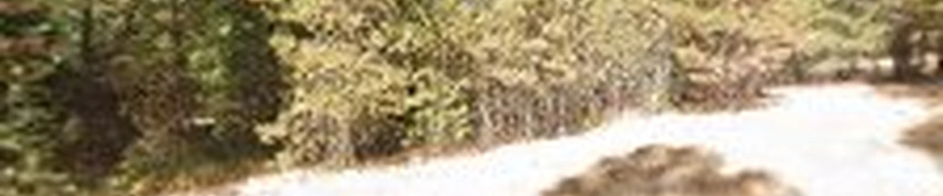 B. WEST TREEPRO, LLC