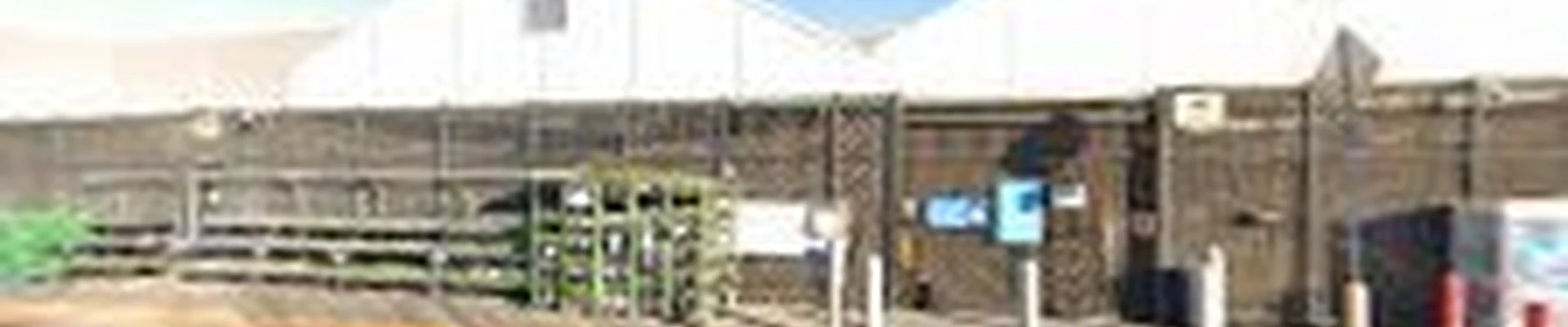 Walmart Garden Center