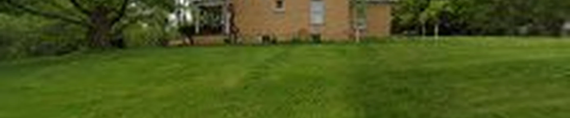 Tarter Tree Service LLC