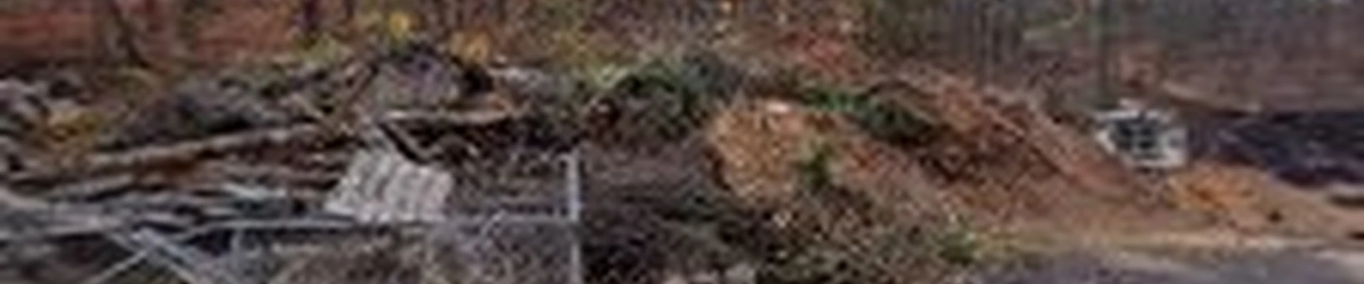 Pittsburgh Lumberjack Tree Service