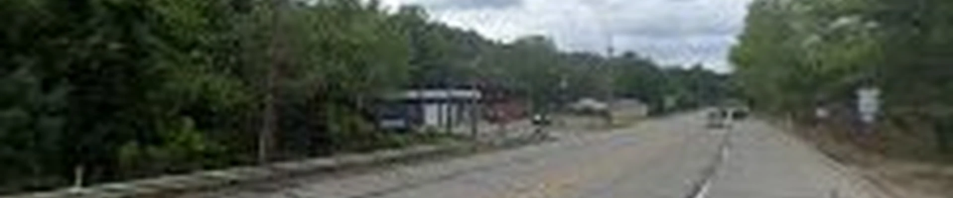 Steel City Arborist