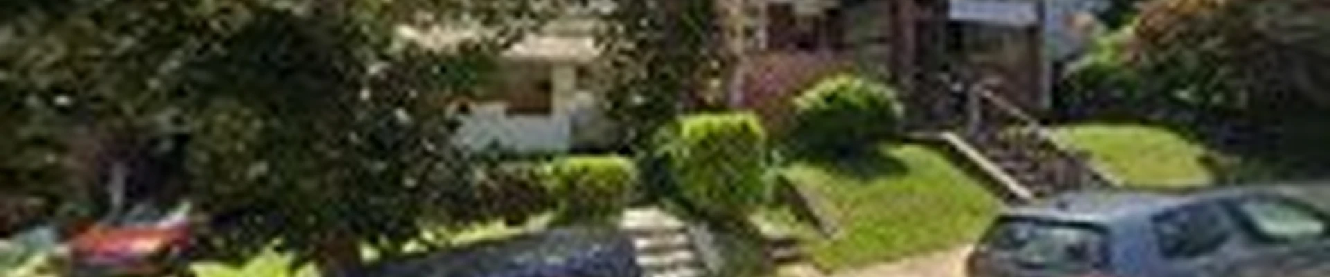 Allstar Arbor Tree Service