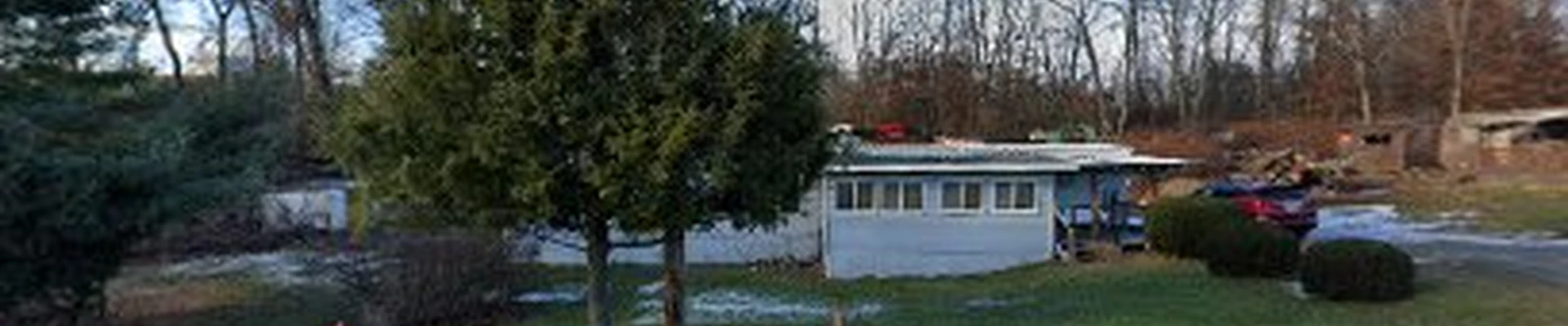 Robert Beiter Tree Services