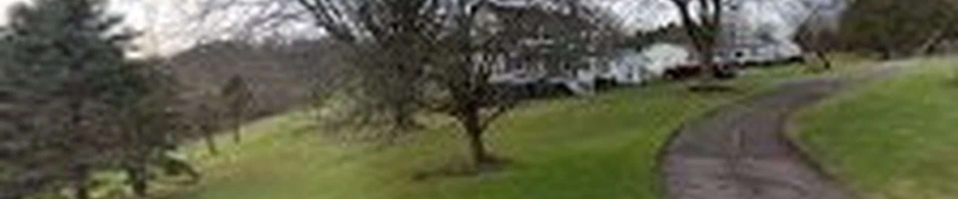 West Penn Tree Service