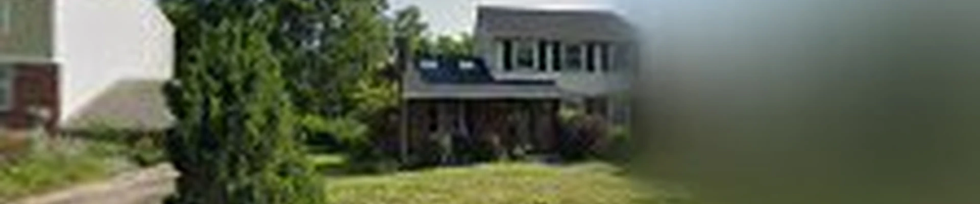 Jungle Boys Tree Service LLC