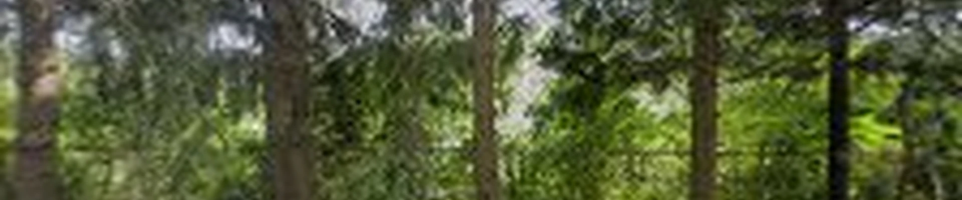 Adler & Sons - Gibsonia Tree Service, Mulch & Supply