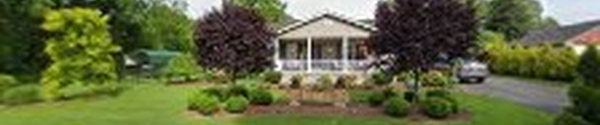 Banks' Tree Services, LLC