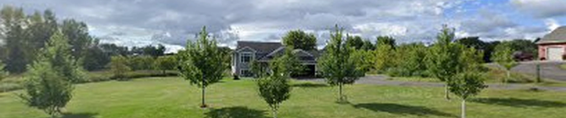 Red Leaf Tree Care