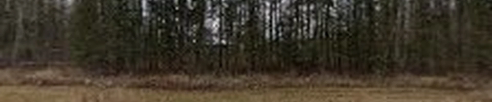 Iron Horse Farms Tree Service