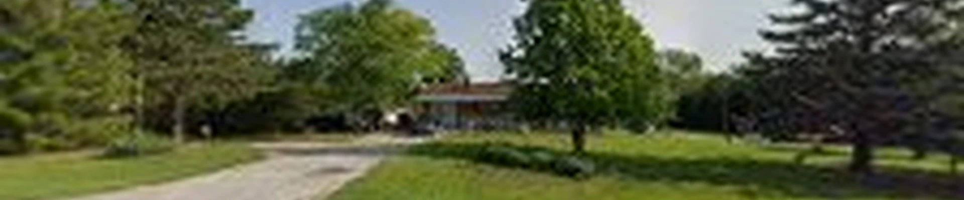 True Blue Tree Service LLC