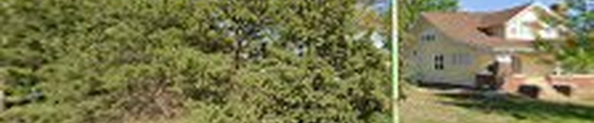 Lumber Max Tree Service LLC