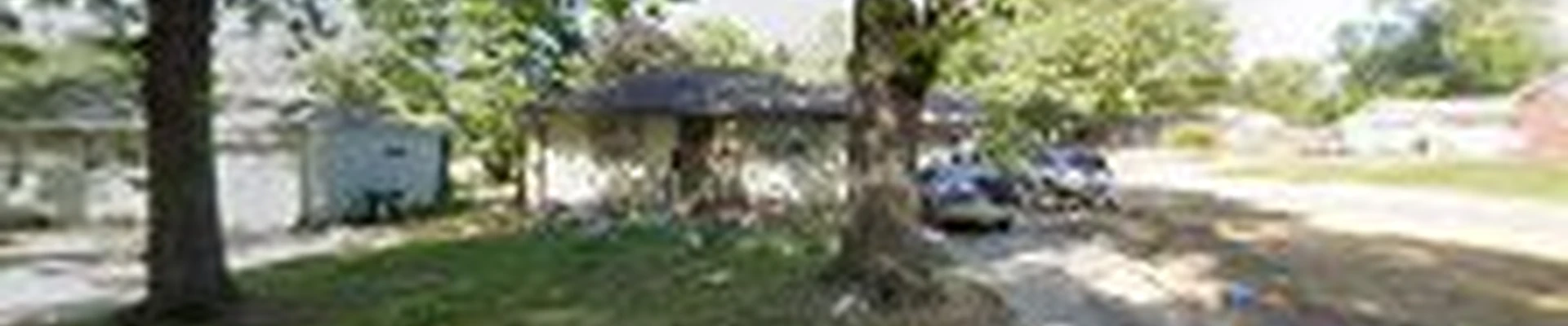 Spidermonkey Tree Services