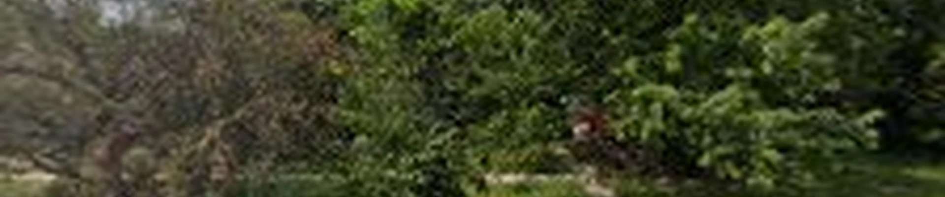 Thomas Tree Service