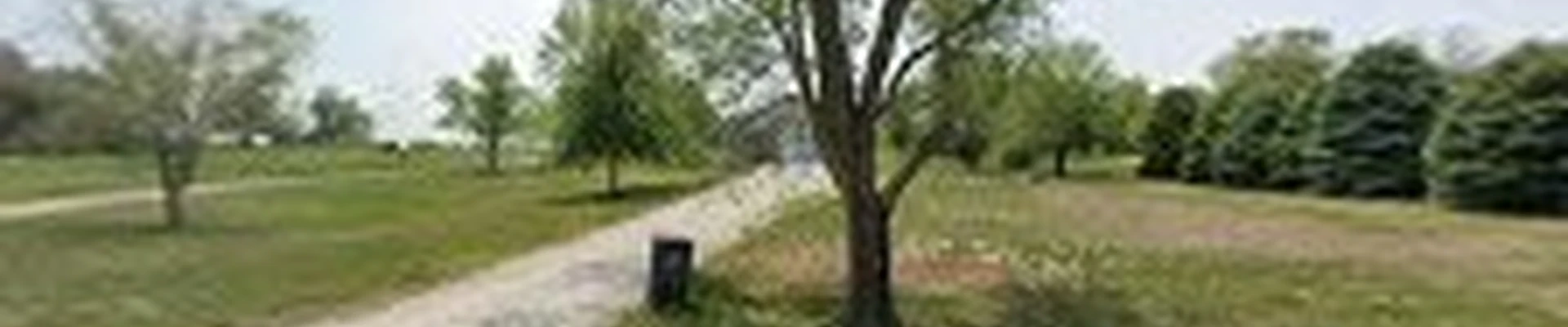 Custom Scapes & Tree Removal