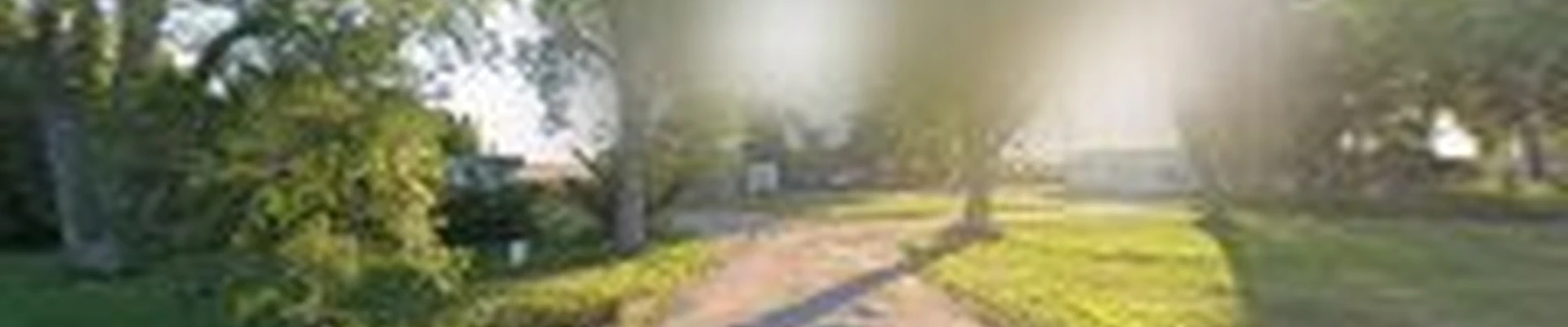 AMW Tree Service
