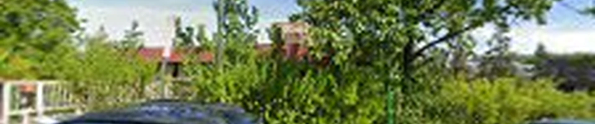 Lights and Flowers City Tree Service