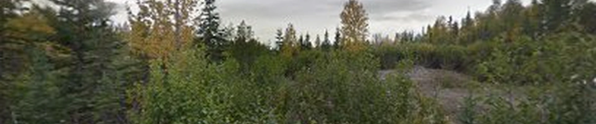 Alaska Tree Solutions
