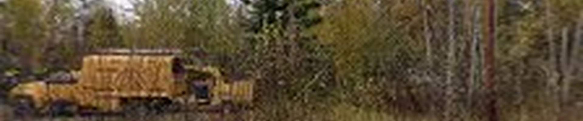 Brandlen Tree Care LLC