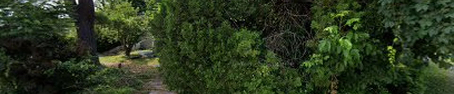 LSW Tree Service