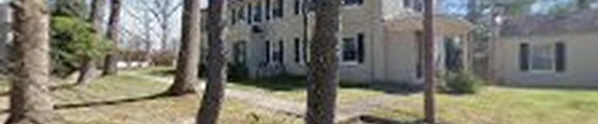 Charleston WV Tree Service