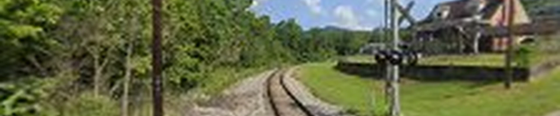 Coal River Tree Services LLC