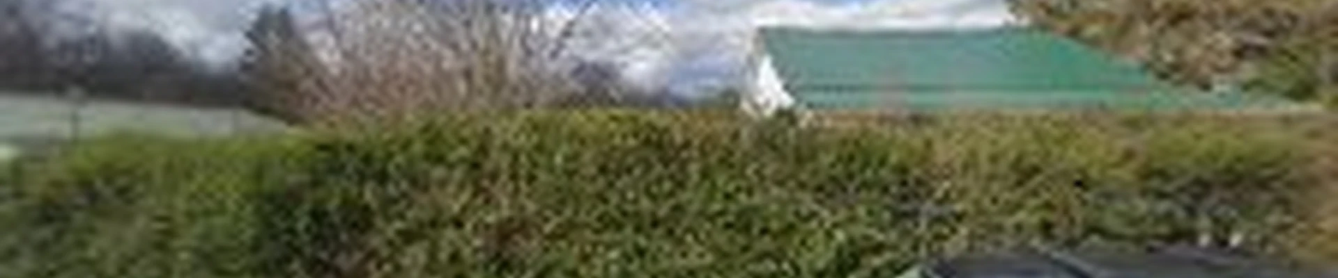 Fleming Tree Professionals LLC