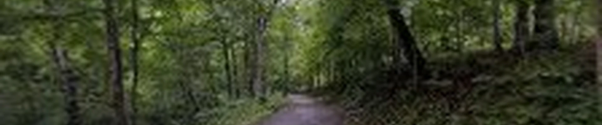 Swann's Tree Service LLC