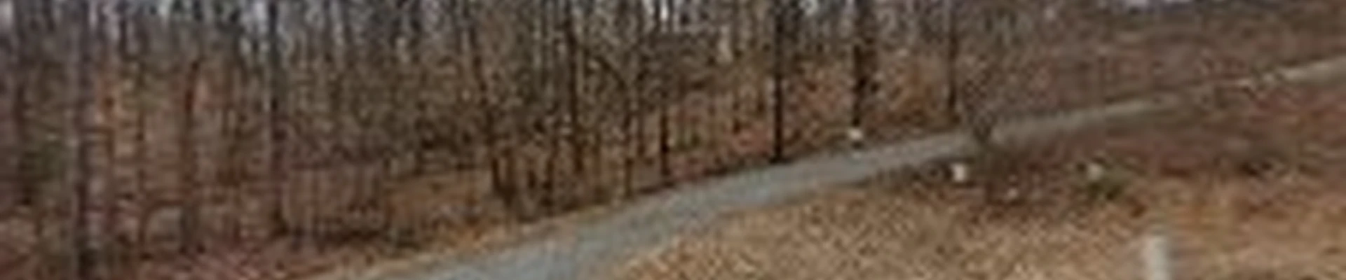 Sanders Tree Solutions