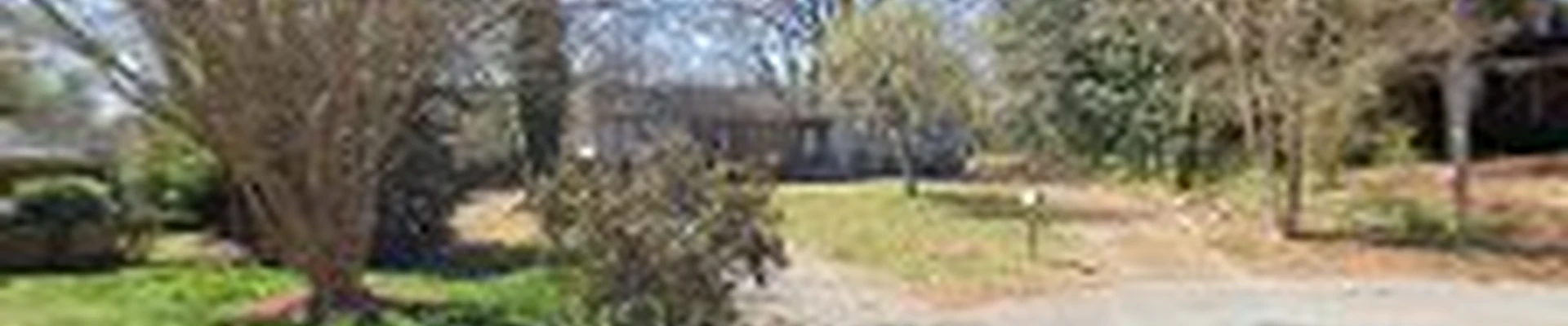 Davis Tree Surgeons